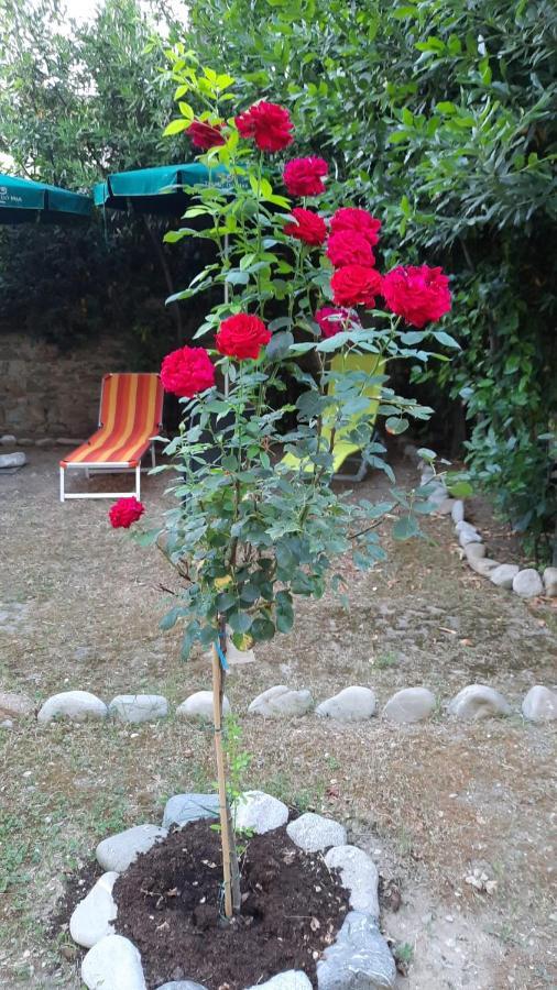 Au Jardin De Florence Bed & Breakfast Bagian luar foto